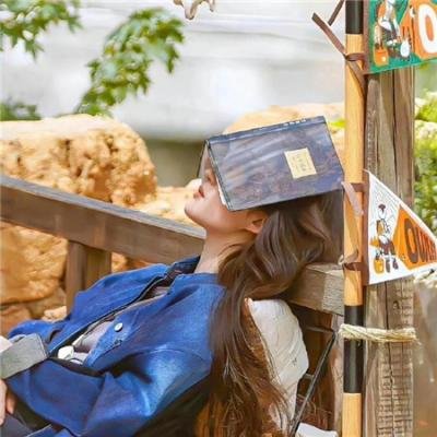 大内密探零零玖